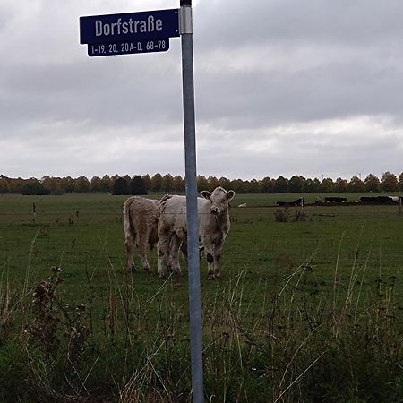 Moderne Barrierefreie Wohnung Auf Dem Land Bei Neuruppin Lichtenberg  Exterior foto